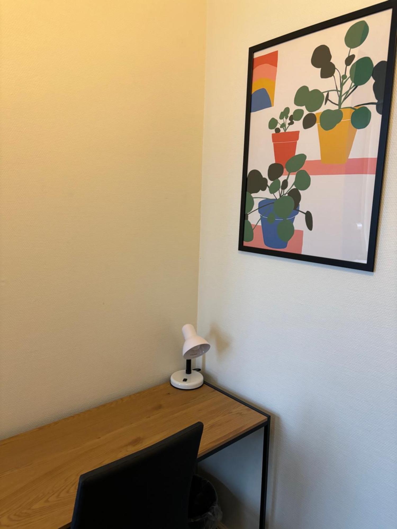 Danhostel Odense City Exterior foto A Google Home Hub